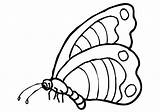 Kolorowanki Motyle Schmetterling Farfalle Mariposas Ausmalbilder Wydrukuj Kolorowankę Imprimir sketch template