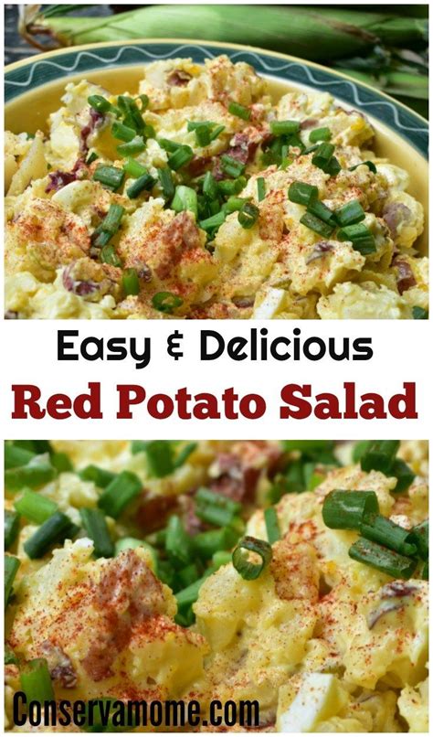 easy red potato salad recipe easy salad recipes potato salad recipe easy salad recipes