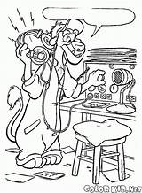 Wildcat Kolorowanki Baloo Spin Escuchar Colorkid Aventuras Balu Radia Słuchania Ouvindo Rádio Ascoltando Aventureros Tale Elfo Uccello Coloriages écouter sketch template