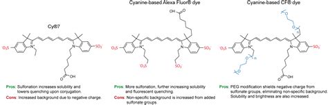 Cf® Dyes What Started It All Part 2 The Chemistry Of Fluorescence