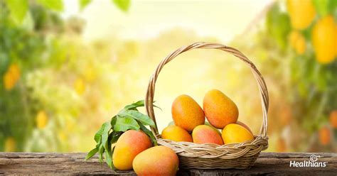 15 Amazing Healthy Reasons To Eat Mangoes This Summer