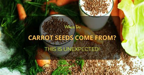 carrot seeds     unexpected