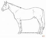 Horse Quarter Coloring Pages Outline Drawing Printable Outlines Horses Drawings Sketch Vanner Gypsy Color Supercoloring Cute Getdrawings Print Adult Animal sketch template