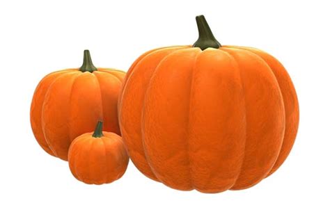 lose 17 lbs in just two weeks with pumpkin