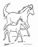 Coloring Pages Horse Horses Sheets sketch template