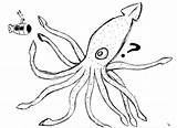 Squid Colossal Drawing Getdrawings Deviantart sketch template