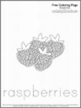 Coloring Fruit Pages Space Raspberries sketch template