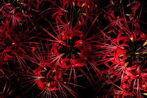 red spikes explored   saitama japan abstract artwork