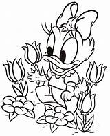 Coloring Daisy Duck Baby Getdrawings Pages sketch template