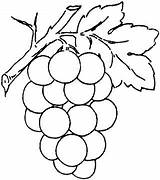 Coloring Pages Grapes Supercoloring sketch template