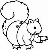 Squirrel Coloring Pages Cute Flying Para Colorear Clipart Animales Clipartpanda Cliparts Viewing Play Library sketch template