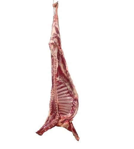 osmanabadi goat carcass   price  parli maharashtra kayra enterprises
