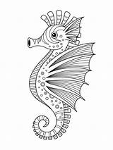 Hippocampe Seahorse Ippocampo Scarabocchio Griffonnage sketch template