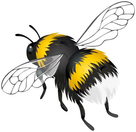 flying bee png clipart  web clipart