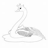 Swan Coloring Pages Getcolorings Color sketch template