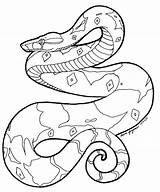 Boa Constrictor Snakes Snake Getdrawings sketch template