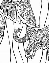 Coloring Pages Adults Elephants Elephant Getdrawings Print Getcolorings Color sketch template