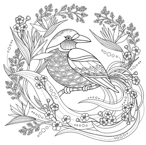 printable coloring pages  birds printable world holiday