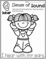 Senses Preschool Sentidos Preescolar Playtime Toddler Planningplaytime Cinco sketch template