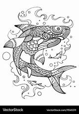 Shark Coloring Adults Book Vector Royalty sketch template