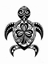 Turtle Tribal Clipart Hawaiian Tattoo Drawing Shamrock Hawaii Honu Polynesian Tattoos Irish Outline Sea Designs Deviantart King Afa Plumeria Drawn sketch template