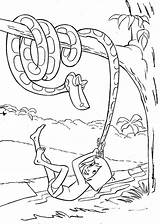 Kaa Selva Dschungelbuch Mowgli Ausmalbild Pintar Kleurplaten Malvorlage Schlange 1120 2196 Mogli Schlangen Trickfilmfiguren Ausmalen Kleuren Beoordelingen sketch template