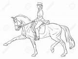Dressage Horse Coloring Pages Ausmalbilder Pferde Pferd Silhouette Bilder Reiter Dressur Skizze Zeichnen Und Lizenzfreie Frau Printable Reiten Getdrawings Print sketch template
