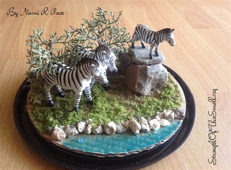 diy zebra habitat strength   small