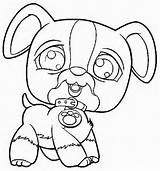 Coloring Dog Prairie Pages Library Clipart Littlest Pet Cat Shop sketch template