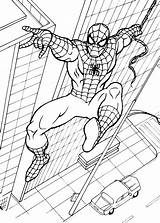 Spiderman Pintar sketch template