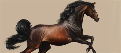 digital painting   realistic horse photoshop lady