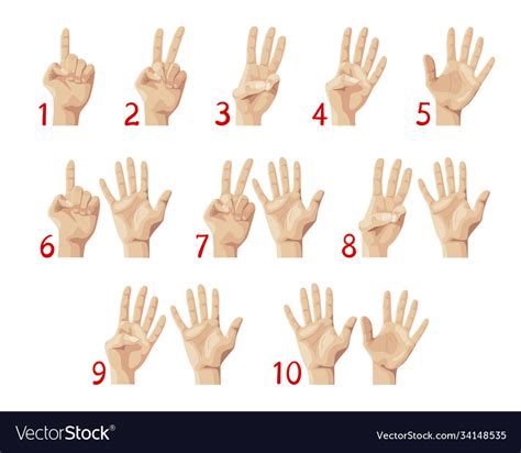 finger count hand showing numbers    ten vector image