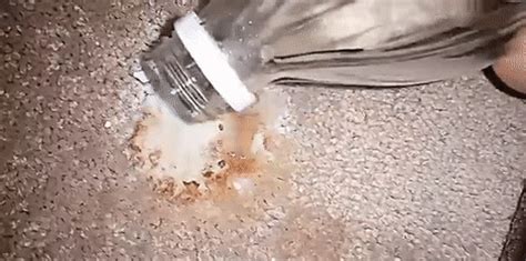 clean  carpet  baking soda vinegar smart vacuums