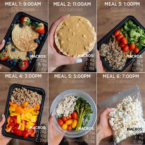 day meal prep plan  grocery list sample macro breakdown meowmeix