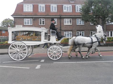 photography   fancy funeral procession