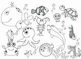 Coloring Pages Water Animals Getcolorings Ocean Color sketch template