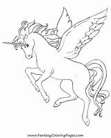 Pegasus Pferd Pferde Ausmalbild sketch template