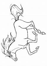 Halaman Kuda Haiwan Pferd Mewarna Kertas Andalusian Kanak Ausmalbilder sketch template