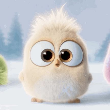 hatchlings gif  angry birds find share  giphy