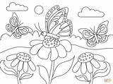 Pages Butterflies Supercoloring sketch template
