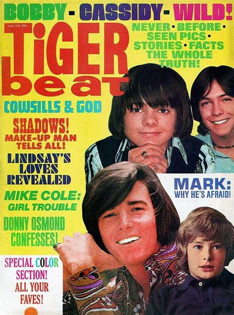 top stars   vintage tiger beat magazine covers     relive