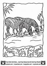 Coloring Pages Animals Prairie Biome Grassland Kids Zebra Grasslands Colouring Comments Library Clipart Coloringhome Related sketch template
