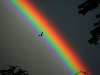 saleby jogging centre  sound  fire part   rainbow