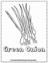 Coloring Pages Green Printable Onions Kids Union Peppers Chili sketch template