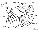Coloring Fish Pages Realistic Betta Ocean Fishing Cartoon Jellyfish Printable Color Rod Saltwater Drawing Price Getcolorings Simple Cheap Freshwater Box sketch template
