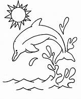 Kids Coloring Dolphins Fun sketch template