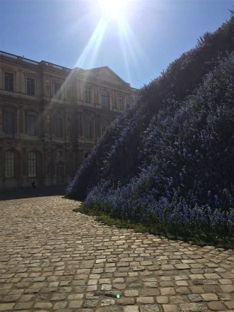 dior plants half a million flowers at the louvre for spring 2016 show