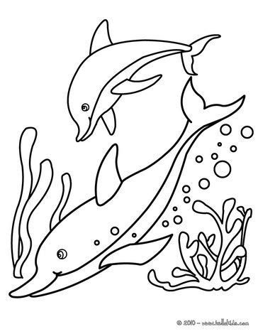 coloring pages   time  dolphin tale  spectrumlearn