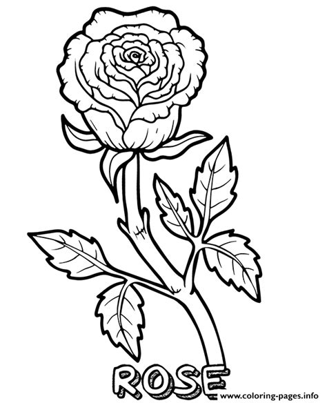 rose flower coloring page printable