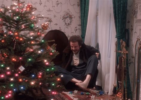 misbehaved facts about home alone